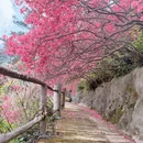 武汉旅游 缩略图 17