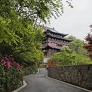 杭州旅游 缩略图 5