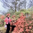 鹰潭旅游 缩略图 2