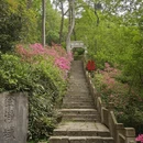 杭州旅游 缩略图 6
