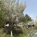 常州旅游 缩略图 4
