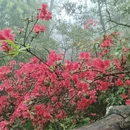 韶关旅游 缩略图 1