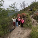鹰潭旅游 缩略图 5