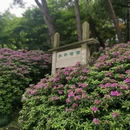 杭州旅游 缩略图 1