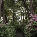 杭州旅游 缩略图 2