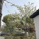 常州旅游 缩略图 2