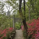杭州旅游 缩略图 8
