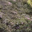 湘西旅游 缩略图 10