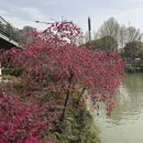 常州旅游 缩略图 7