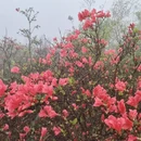 韶关旅游 缩略图 4