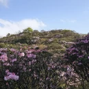 湘西旅游 缩略图 11