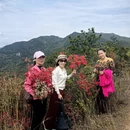 鹰潭旅游 缩略图 13