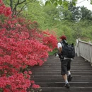 黄冈旅游 缩略图 1