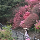 黄冈旅游 缩略图 3