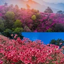 黄冈旅游 缩略图 2