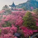 黄冈旅游 缩略图 1