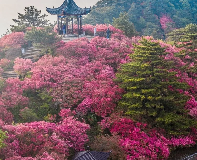 黄冈旅游 1