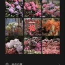 苏州旅游 缩略图 1