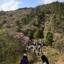 湘西旅游 缩略图 13