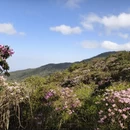 湘西旅游 缩略图 12