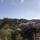 湘西旅游 缩略图 14