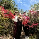 鹰潭旅游 缩略图 10