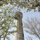 常州旅游 缩略图 12