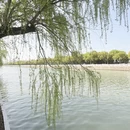 常州旅游 缩略图 13