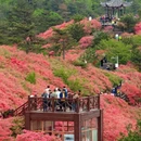 黄冈旅游 缩略图 6
