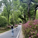 武汉旅游 缩略图 4