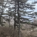 黄冈旅游 缩略图 1