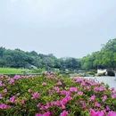 武汉旅游 缩略图 6