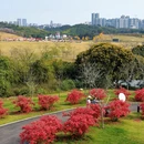 南宁旅游 缩略图 8