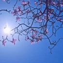 杭州旅游 缩略图 3