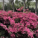 武汉旅游 缩略图 7