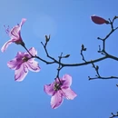杭州旅游 缩略图 11