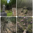 株洲旅游 缩略图 7
