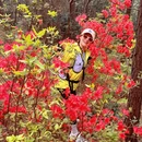 苏州旅游 缩略图 3