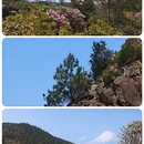 株洲旅游 缩略图 8