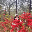 苏州旅游 缩略图 4