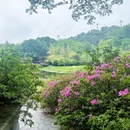 武汉旅游 缩略图 13