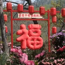 苏州旅游 缩略图 18