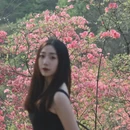 六安旅游 缩略图 3