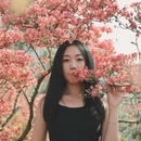 六安旅游 缩略图 4