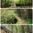 株洲旅游 缩略图 5