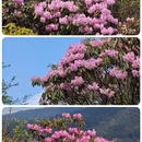 株洲旅游 缩略图 4