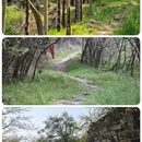 株洲旅游 缩略图 6