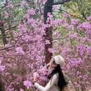 苏州旅游 缩略图 7