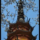 苏州旅游 缩略图 3