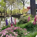 苏州旅游 缩略图 1